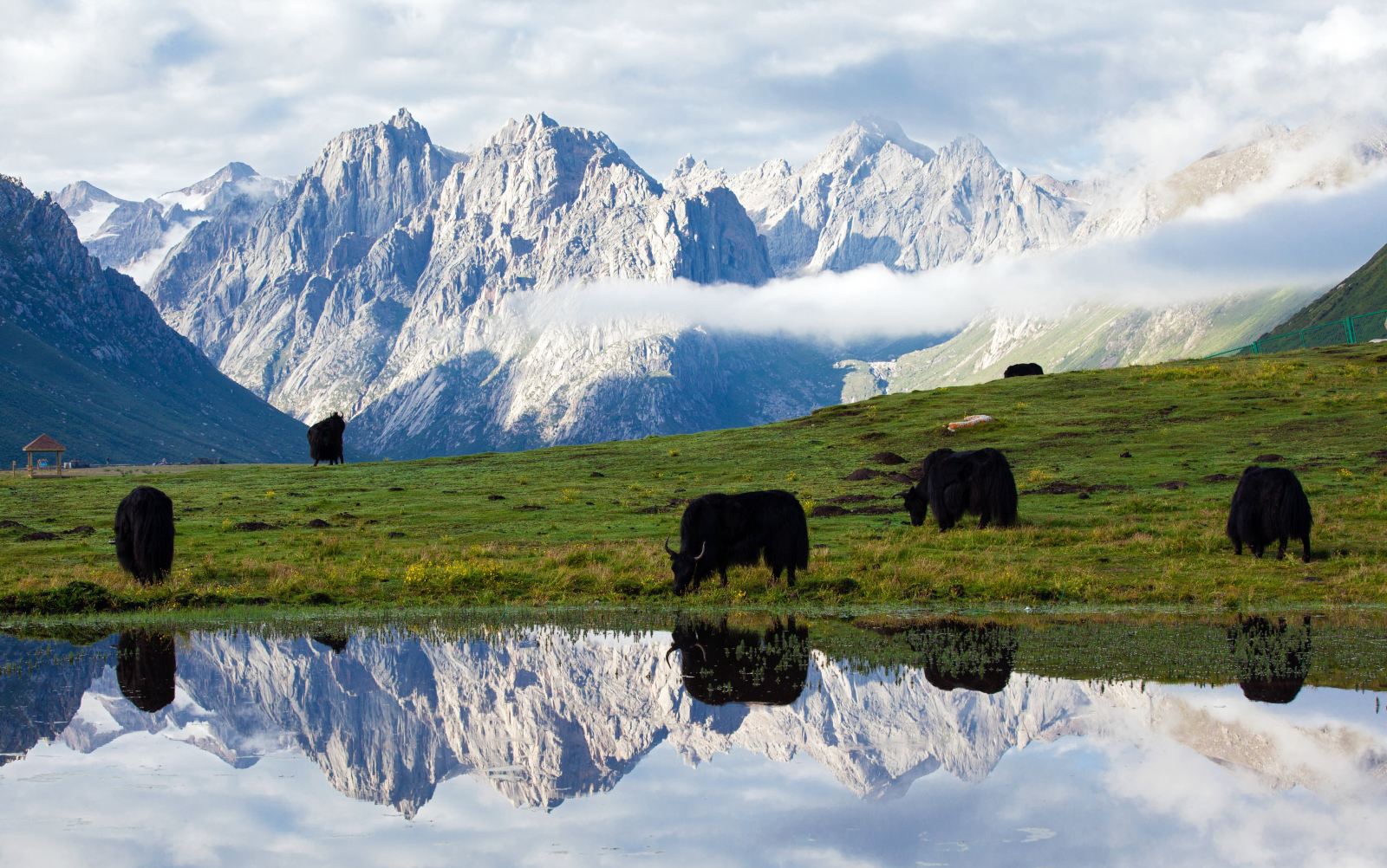 Scenery along the Road from Qinghai to Tibet