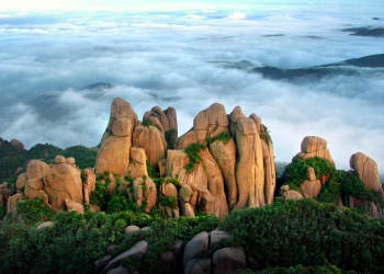 R-C (3)_副本.jpg R-C (3)_副本.jpg