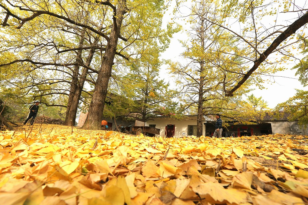haiyangxiang-1.jpg haiyangxiang-1.jpg