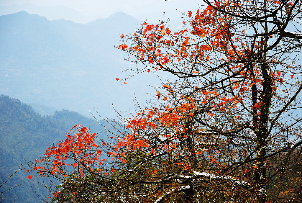 mount-emei.jpg mount-emei.jpg