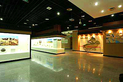 xinjiang regional museum-3.jpg xinjiang regional museum-3.jpg