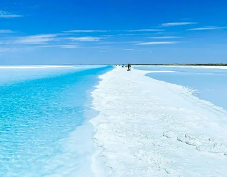 东台吉乃.png 东台吉乃.png