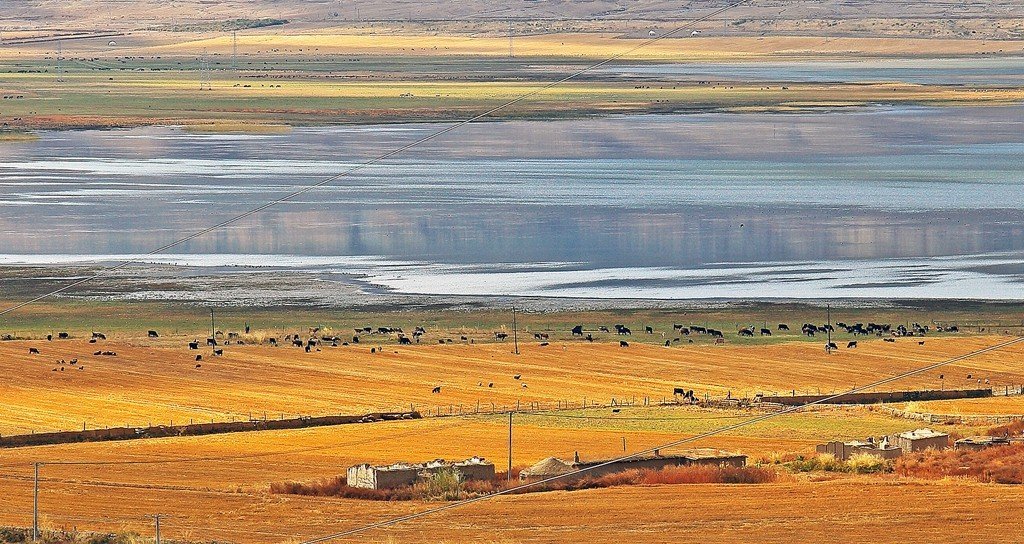 keketuohai-9.jpg keketuohai-9.jpg