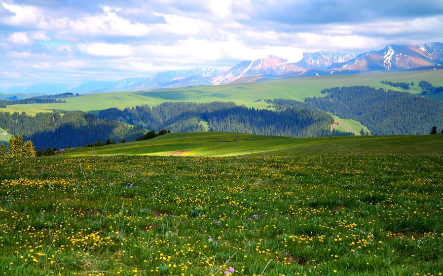 kalajun-8.jpg kalajun-8.jpg