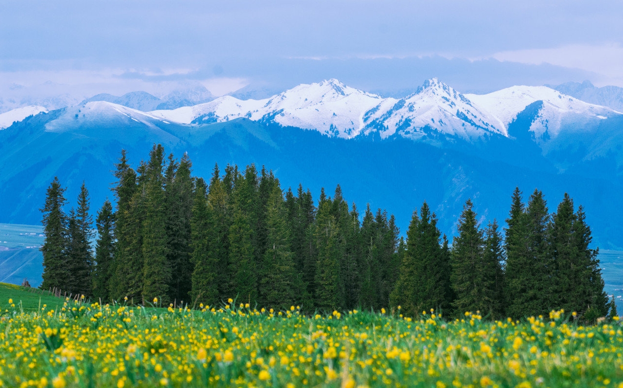 kalajun-5.jpg kalajun-5.jpg