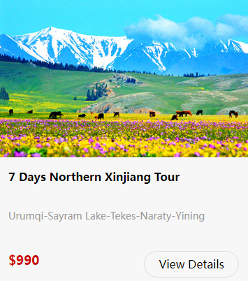 nalati-grassland-31.png nalati-grassland-31.png