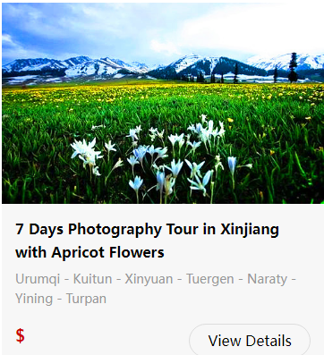 nalati-grassland-30.png nalati-grassland-30.png