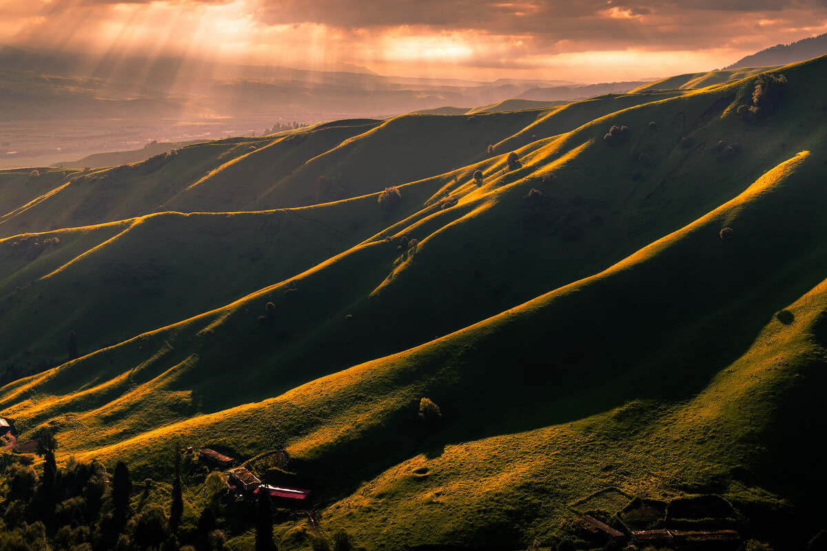 nalati-grassland-8.jpg nalati-grassland-8.jpg