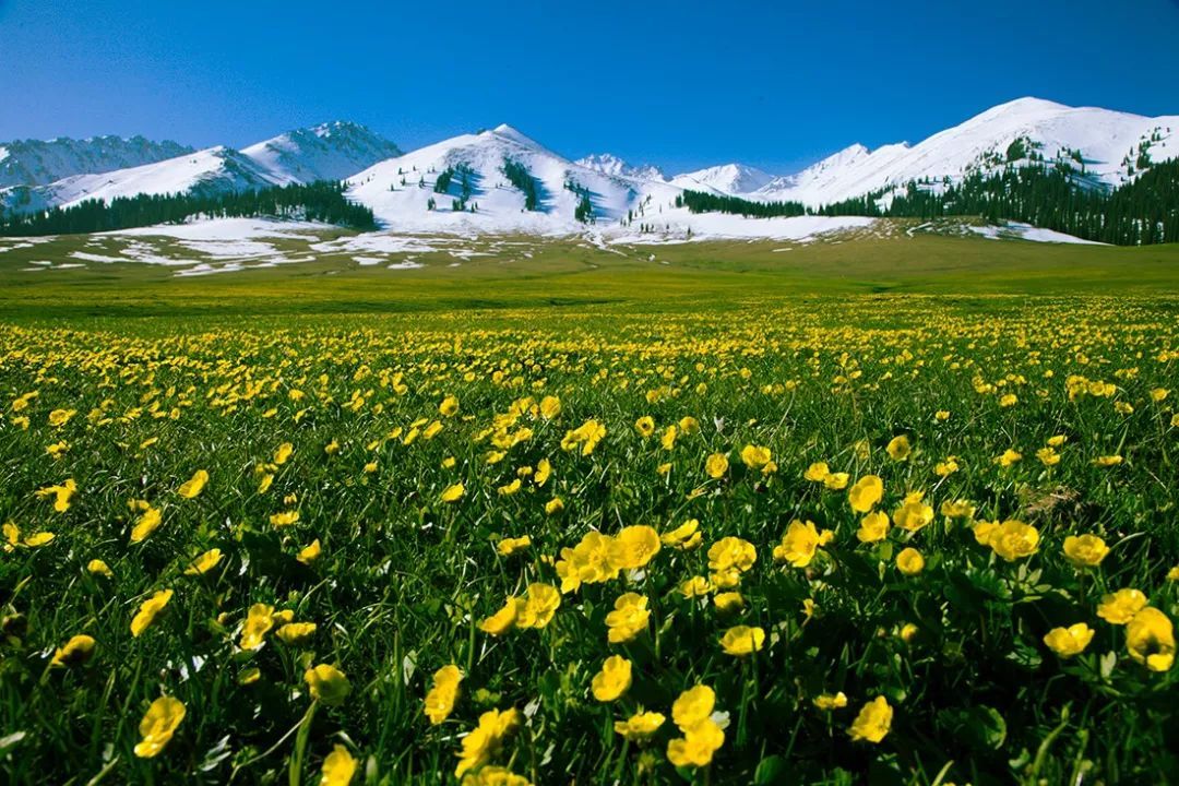 nalati-grassland-24.jpeg nalati-grassland-24.jpeg