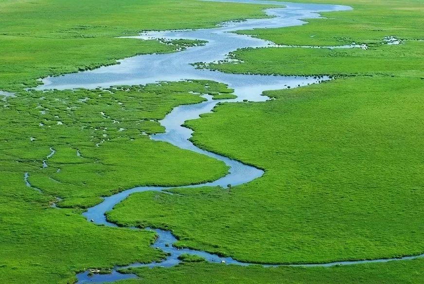 bayanbulak-grassland-6.jpeg bayanbulak-grassland-6.jpeg