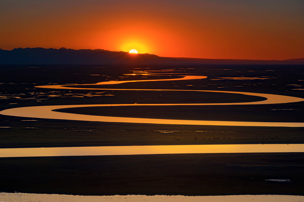 bayanbulak-grassland-18.jpg bayanbulak-grassland-18.jpg