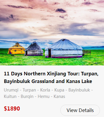 bayanbulak-grassland-25.png bayanbulak-grassland-25.png