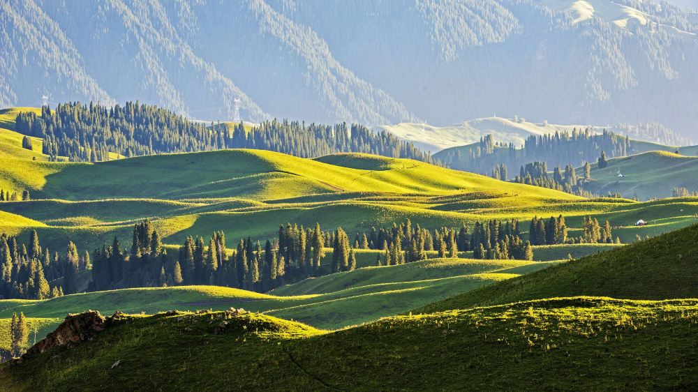 nanshan.jpg nanshan.jpg