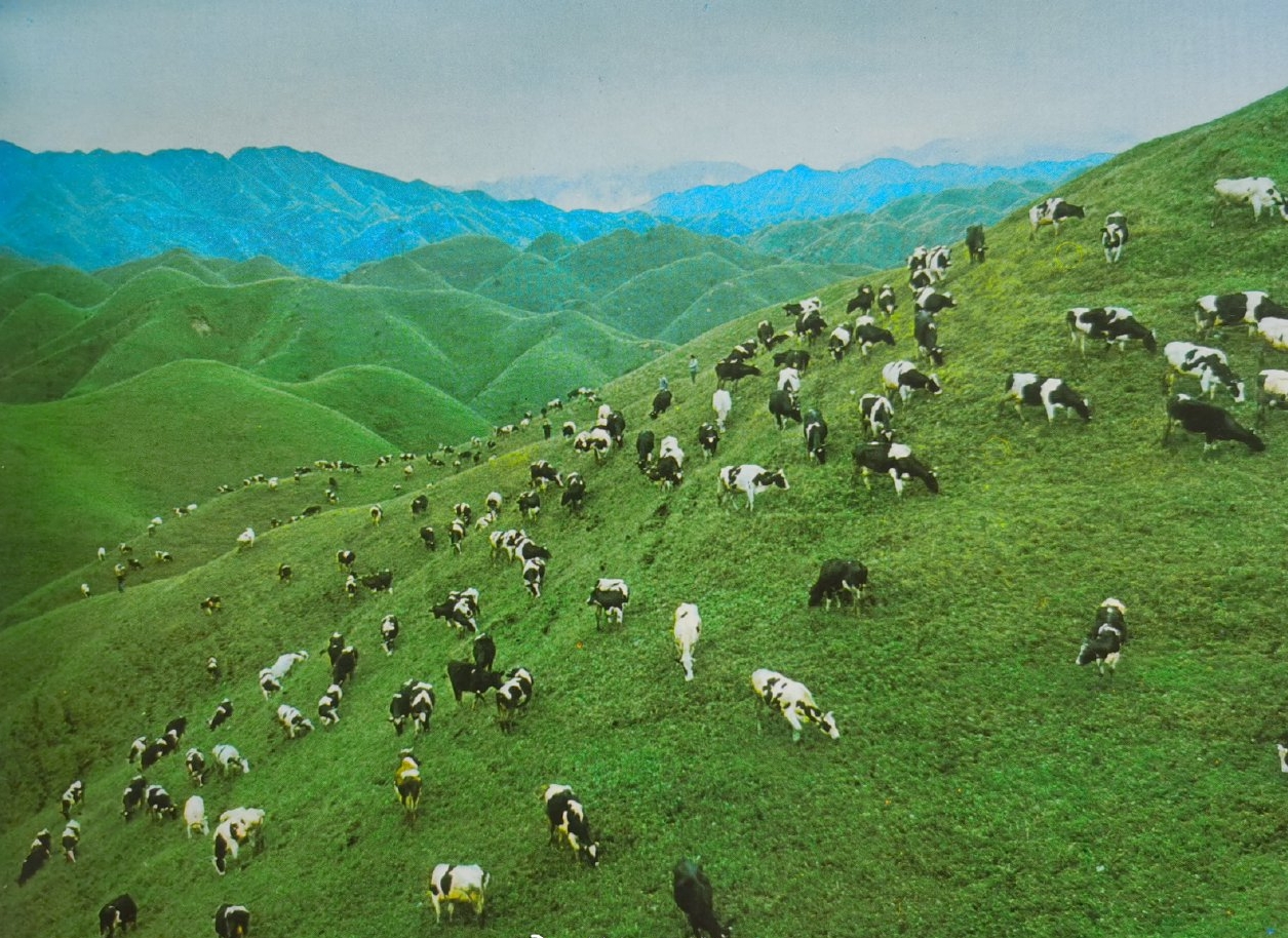 nanshan-5.jpg nanshan-5.jpg