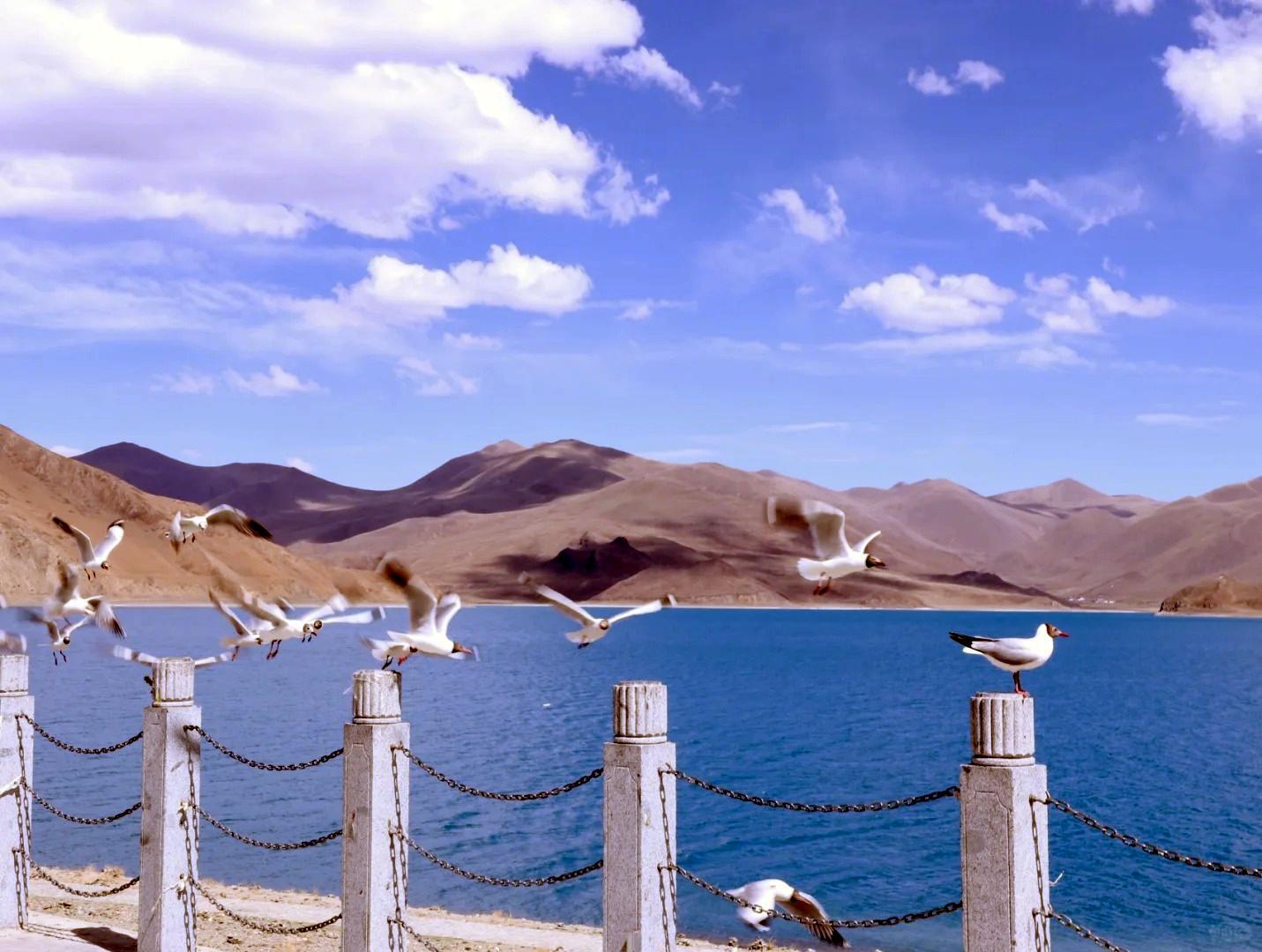 Yamdrok Lake Yamdrok Lake