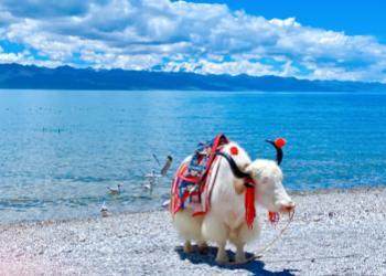 Namtso Lake