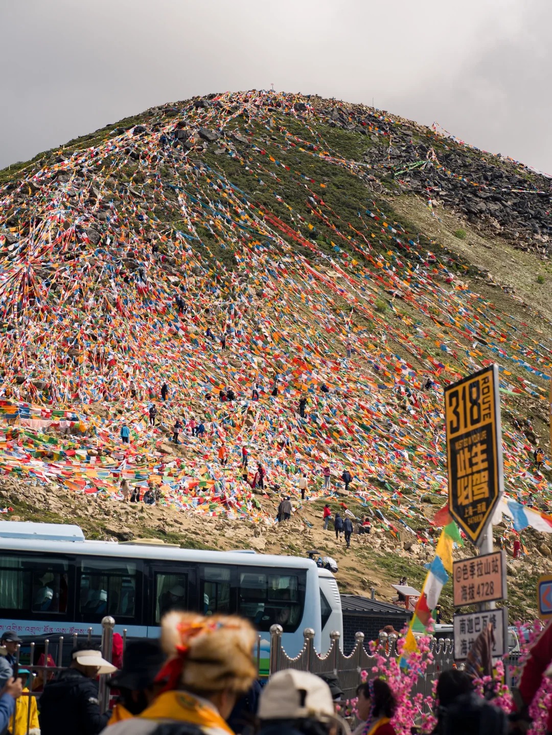 Lulang Forest Lulang Forest