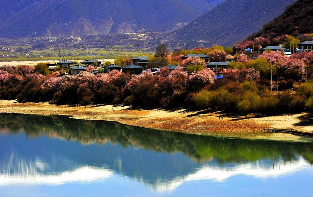 Lulang Forest Lulang Forest