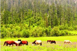 00301906229_11e8e21c.jpg 00301906229_11e8e21c.jpg