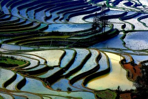 The Yuanyang Terraces The Yuanyang Terraces