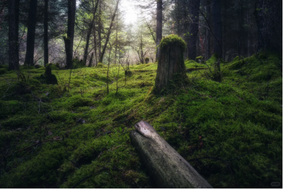 Kanbula National Park Kanbula National Park