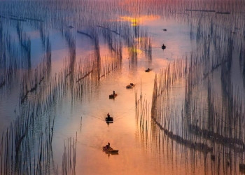 Shajiang S Bay Shajiang S Bay