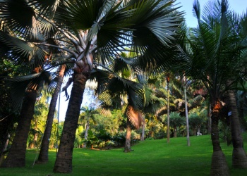 Xiamen Botanical Garden Xiamen Botanical Garden