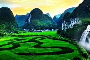 Dragon Palace Dragon Palace