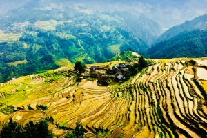 JIabang Terraced Fields JIabang Terraced Fields