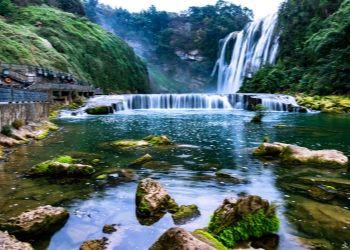 Bonsai Garden Bonsai Garden