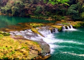 Rhinoceros Pool Rhinoceros Pool