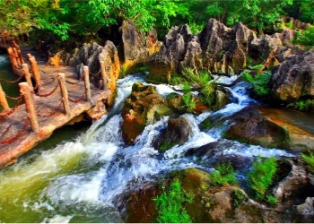 Natural Bonsai Garden Natural Bonsai Garden