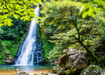 Jinggangshan Mountain Jinggangshan Mountain