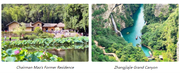 图片9.png 图片9.png