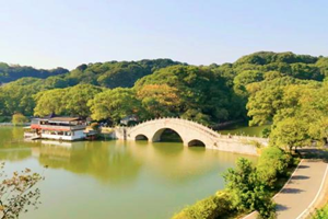 图片8.png 图片8.png
