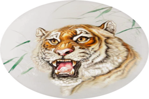 55d9479fe7f5fad0ea8f37c98710a082.png 55d9479fe7f5fad0ea8f37c98710a082.png