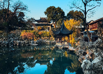 The Lion Grove Garden