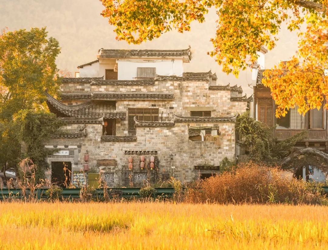Hongcun autumn.jpg Hongcun autumn.jpg