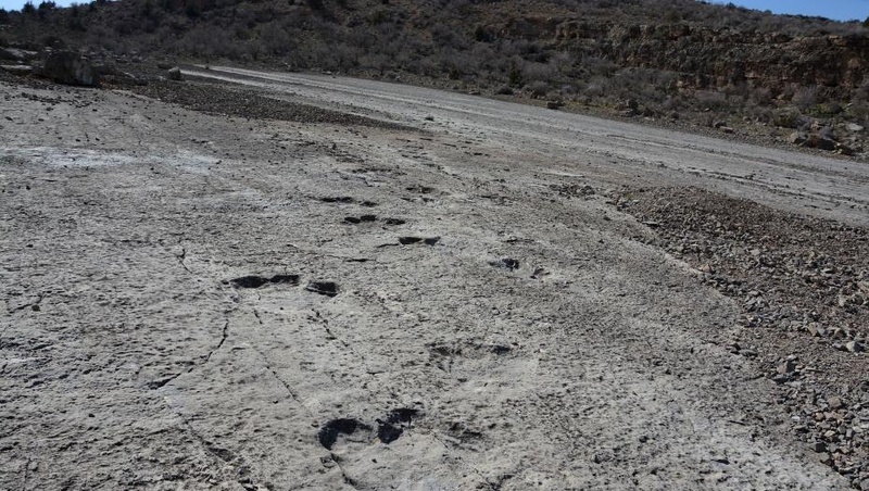 Dinosaur Plateau.jpg