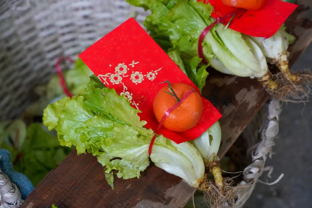 Lettuce.jpg Lettuce.jpg