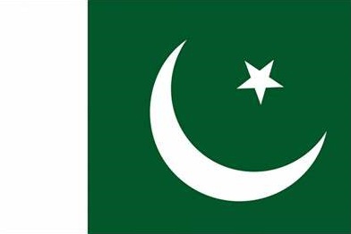 the Flag of Pakistan.jpg the Flag of Pakistan.jpg