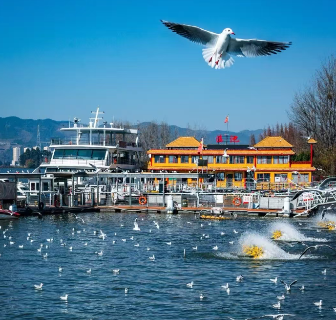 dianchi lake1.png dianchi lake1.png