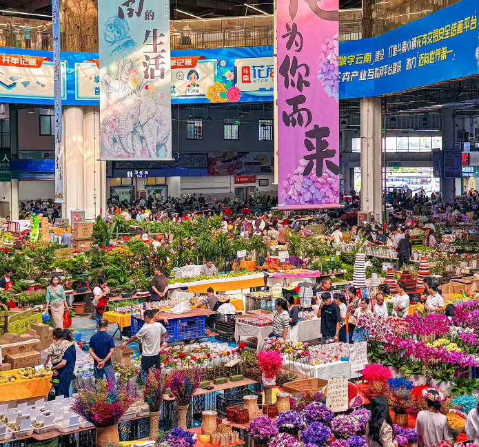 dounan flower market 2.png dounan flower market 2.png