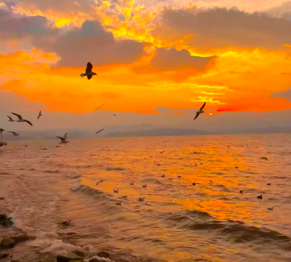 yunnan erhai 2.png yunnan erhai 2.png