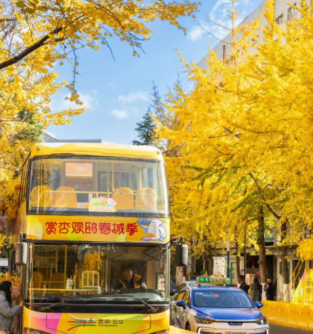 A Practical Yunnan Muslim Tour Travel Guide | Find Solace in Nature