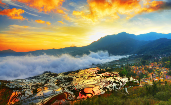 Yunnan website.png Yunnan website.png