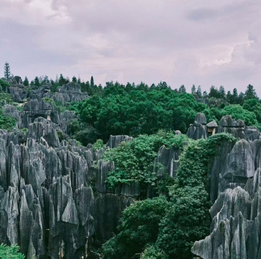 Yunnan Stone Forest2.png Yunnan Stone Forest2.png