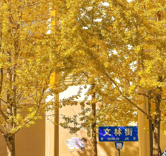 kunming city walk 2.png kunming city walk 2.png