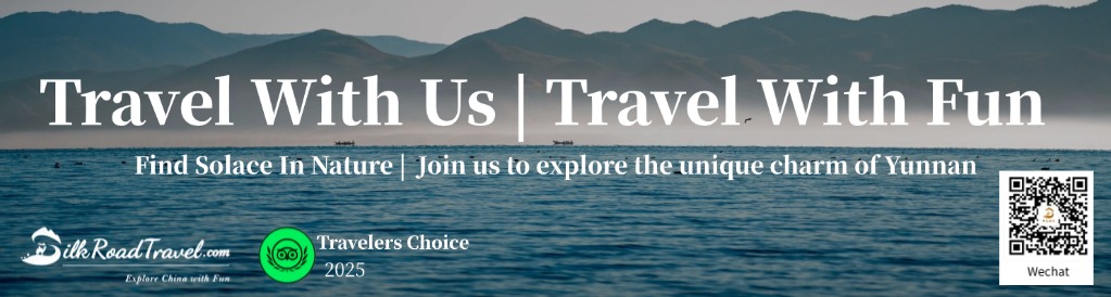 travel with us travel with fun poster end of the page.jpg