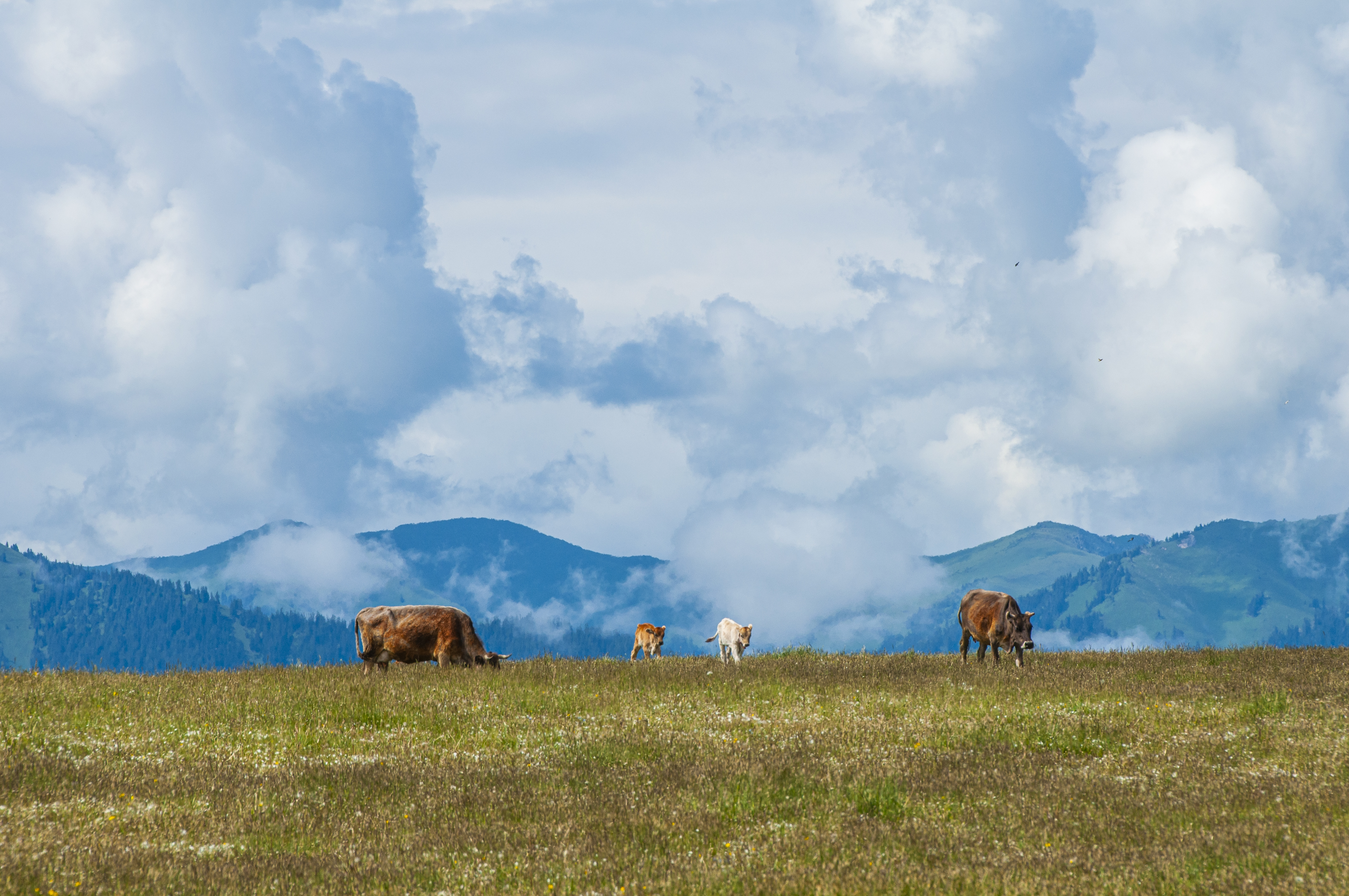 silkroad xinjiang 2.jpg